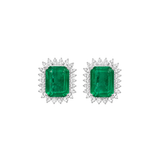 16.76ct Emerald Diamond 18K Gold Halo Earrings