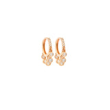 Earrings   D:0.73
