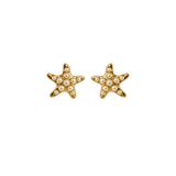 Pearl 14K Gold Star Dainty Earrings
