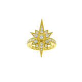 0.70ct Diamond 18K Gold Wind Rose Ring