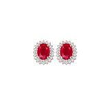 4.93ct Ruby Diamond 18K Gold Oval Halo Stud Earrings